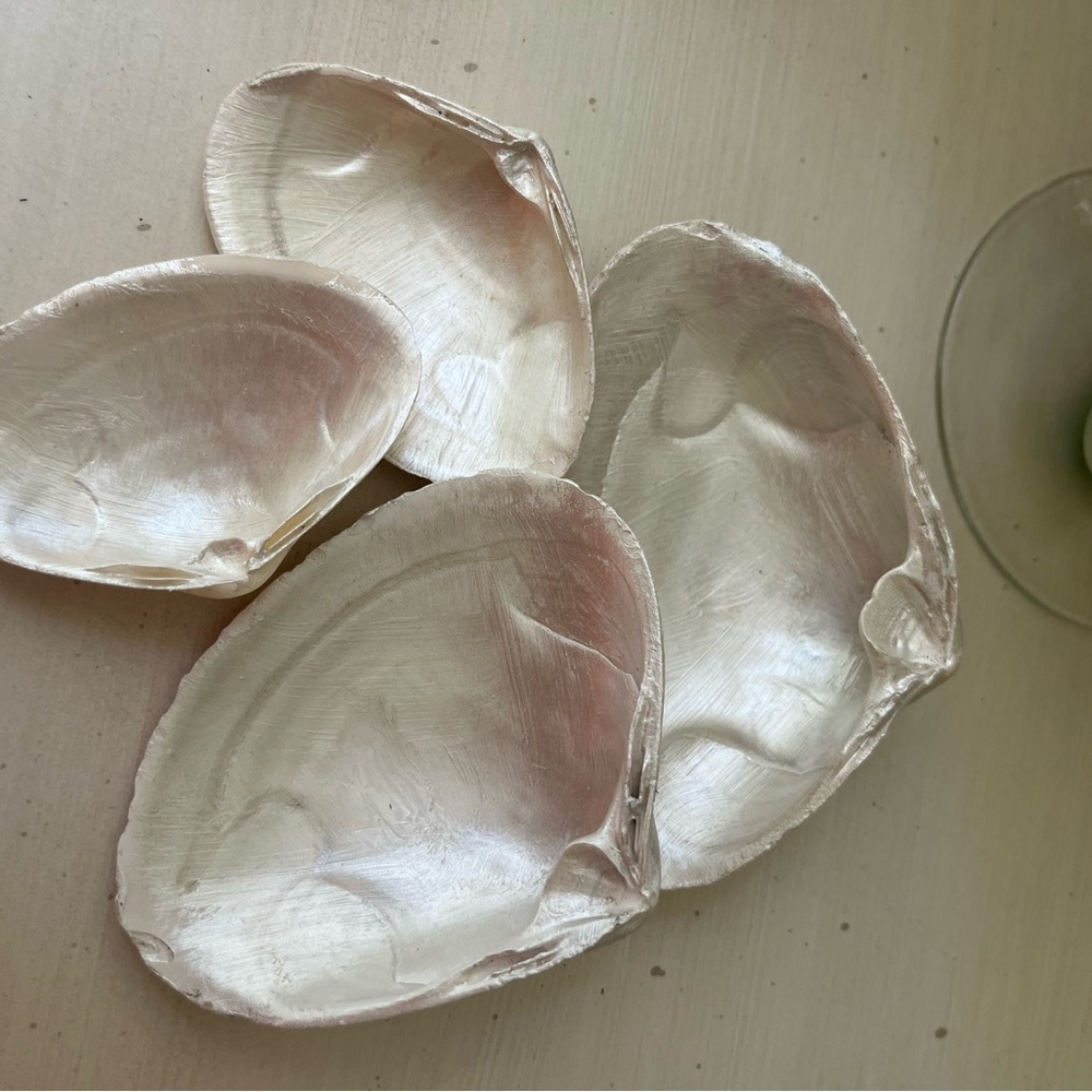 🌻Pearl painted shells